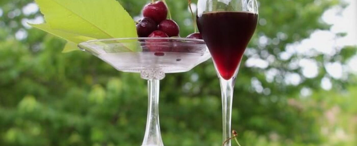 Современное виноделие: домашнее вино из вишни