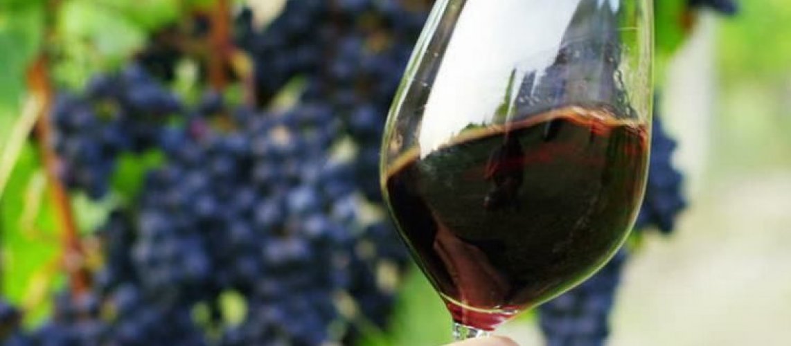 Всё, что вам нужно знать о кислотах в виноделии