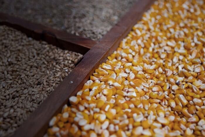 Формирование засыпи из кукурузы, ржи и пшеницы для приготовления бурбона.